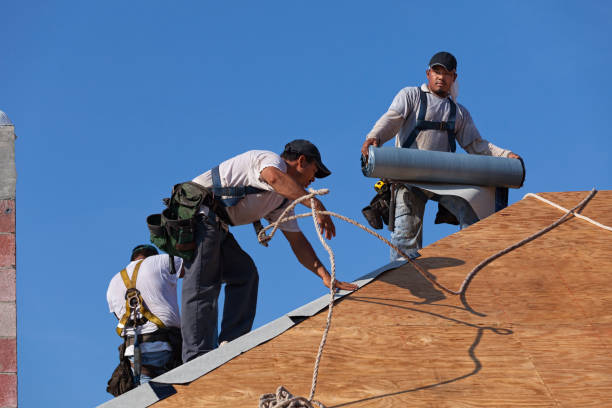 Best Roof Gutter Cleaning  in Henning, TN