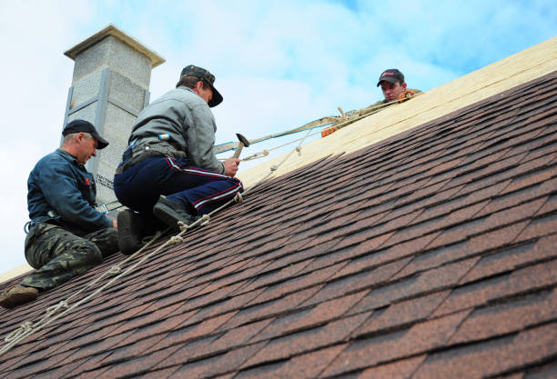 Best Residential Roofing Contractor  in Henning, TN