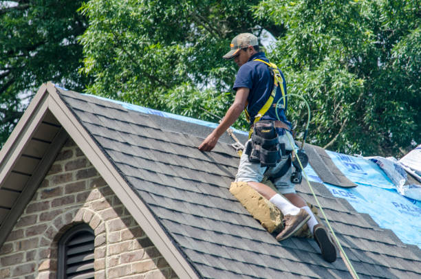 Best Storm Damage Roof Repair  in Henning, TN
